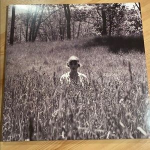 Taylor Swift In the Weeds Folklore Vinyl